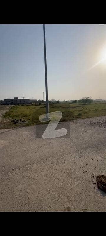 ڈی