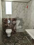 5 5