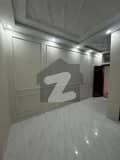20 