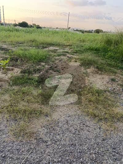 آئی