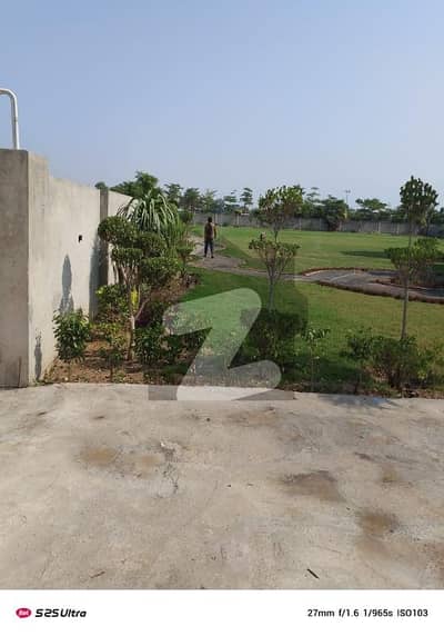 برکی