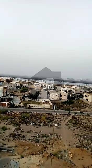 ڈی