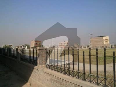 ریگی