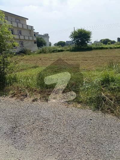 آئی