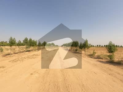 Buy a plot for Farmhouse & Cattlefarm with 1 year EASY INSTALLMENT PLANS , 1000, 2000 & 4000 Sqyd PLOTS ARE AVAILABLE. Buy a plot for Farmhouse & Cattlefarm with 1 year EASY INSTALLMENT PLANS , 1000, 2000 & 4000 Sqyd PLOTS ARE AVAILABLE.