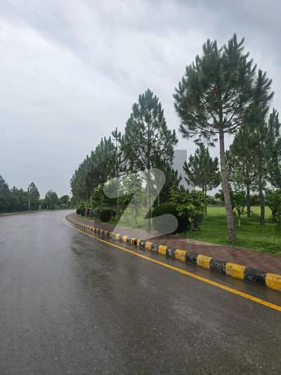 Gulberg Greens Block B Farm Gulberg Greens Block B Farm