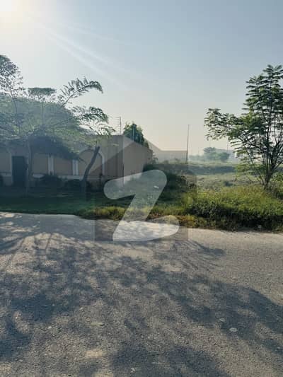 1 Kanal Plot No. 768 , Block W, DHA Phase 8