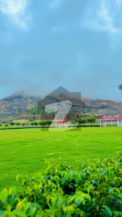 فیصل