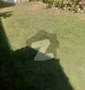 1  1