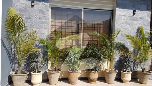 ڈی ایچ اے ڈیفینس فیز 1 ڈی ایچ اے ڈیفینس,اسلام آباد میں 6 کمروں کا 1 کنال مکان 8.0 کروڑ میں برائے فروخت۔ ڈی ایچ اے ڈیفینس فیز 1 ڈی ایچ اے ڈیفینس,اسلام آباد میں 6 کمروں کا 1 کنال مکان 8.0 کروڑ میں برائے فروخت۔