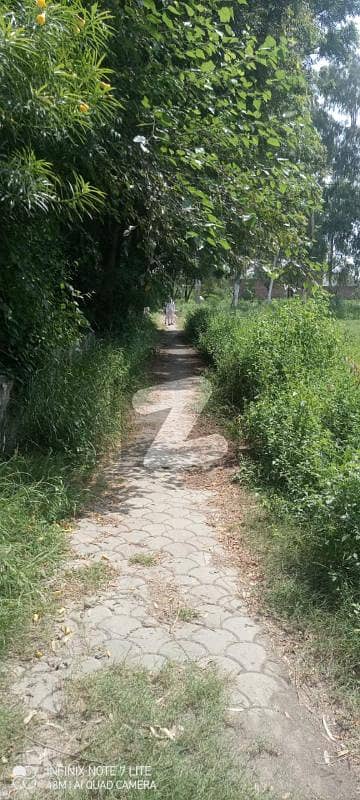 Unmatched Privacy & Countryside Living in Lahore