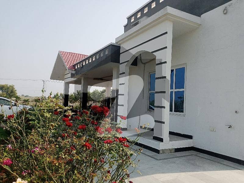 Corner Farm House (Main Adyala Road) Corner Farm House (Main Adyala Road)