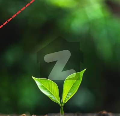 Agricultural