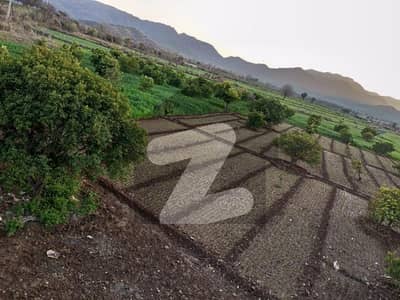 150 Kanals Agricultural Maintained Farmhouse On Main Attock Road