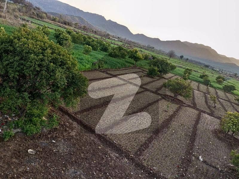 150 Kanals Agricultural Maintained Farmhouse On Main Attock Road 150 Kanals Agricultural Maintained Farmhouse On Main Attock Road