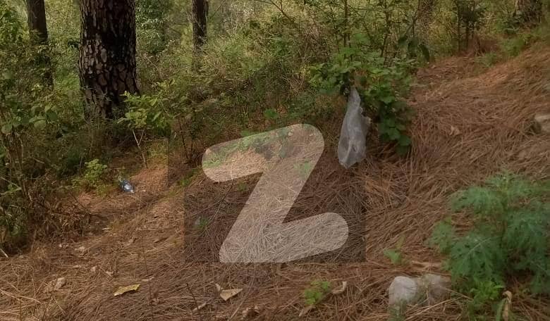 Residential Plot For Sale In C-16 Islamabad Residential Plot For Sale In C-16 Islamabad