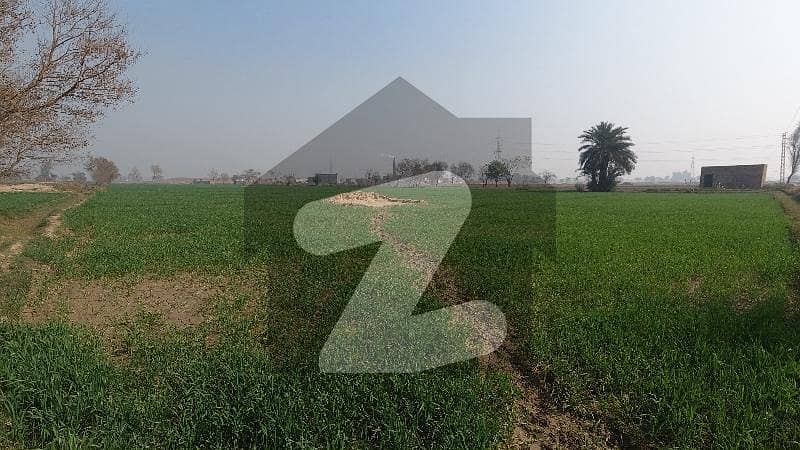 100 Kanal Agricultural Land Near Multan Road 100 Kanal Agricultural Land Near Multan Road