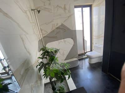 Fully Furnished With Solar Like Brand New House For Sale Near Raya Fairways Commercial And Dolmen Mall