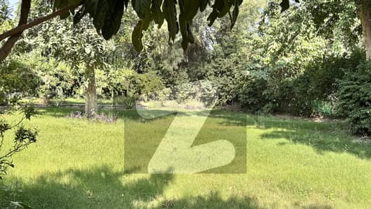 2 Kenalz 3 Bedrooms Single Unit House Available For Rent. .