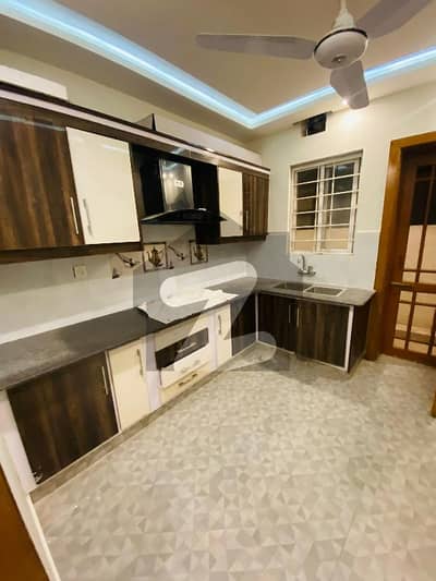 6 Marla Brand New Designer House For Rent 6 Marla Brand New Designer House For Rent