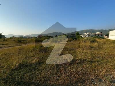 Corner 14 Marla Residential Plot In Stunning D-12 Is Available For sale