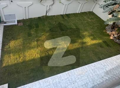 BEAUTIFUL HOUSE MODREN DESIGN SPECIOUS WASHROOMS EXCELLENT LOCATION BIG GREEN LAWN CLOSE END STREET