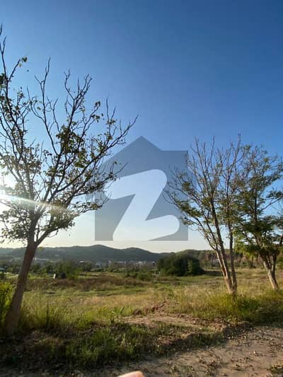 DHA Phase 3, Sector A 1 Kanal With Extra 2 Marla Land Plot Available