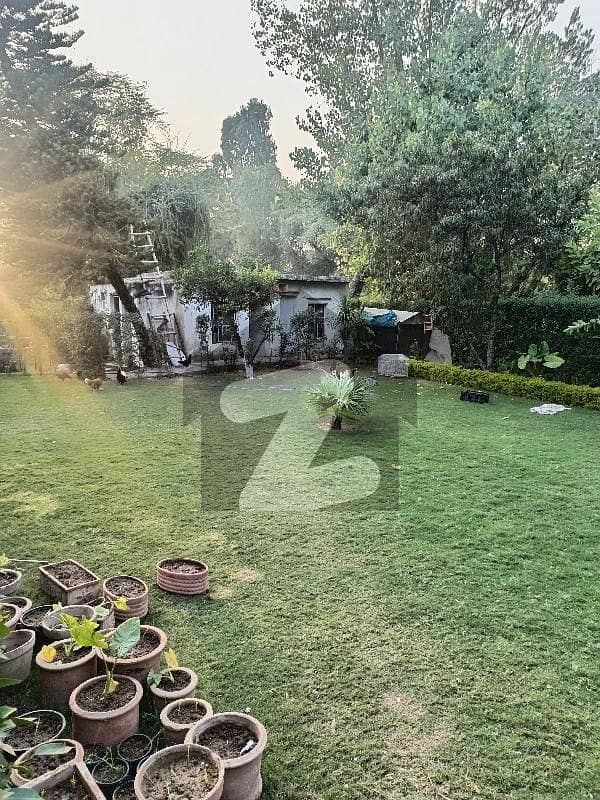 F11 Lower Ground Portion With Extraland F11 Lower Ground Portion With Extraland