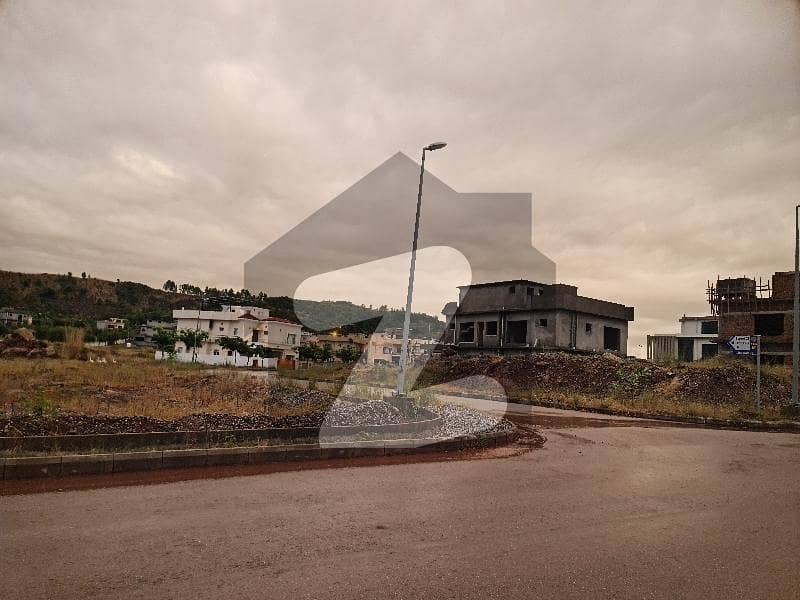 Back Open Plot Back Open Plot