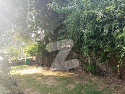 Sun Facing Old House 600 Square Yards Sun Facing Old House 600 Square Yards