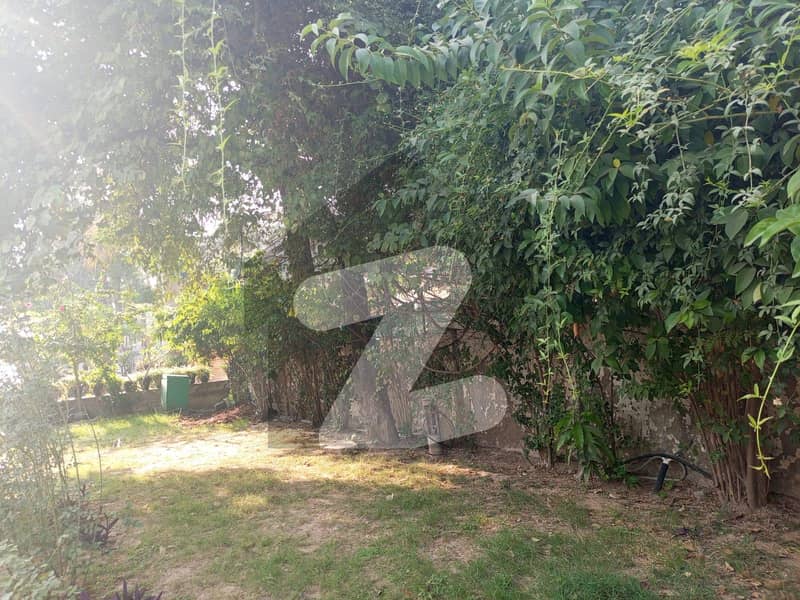 Sun Facing Old House 600 Square Yards Sun Facing Old House 600 Square Yards