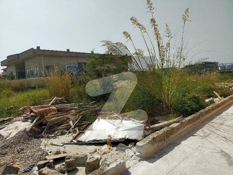 Factory For Sale Factory For Sale