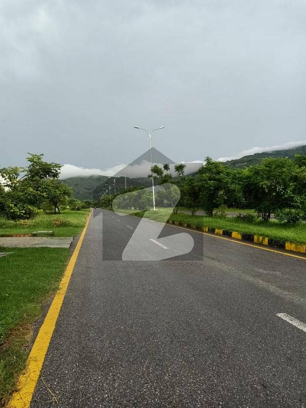 D-12/4 East Service Road Plot For Sale D-12/4 East Service Road Plot For Sale