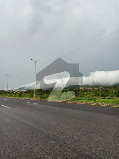 D-12/4 East Service Road Plot For Sale Top location