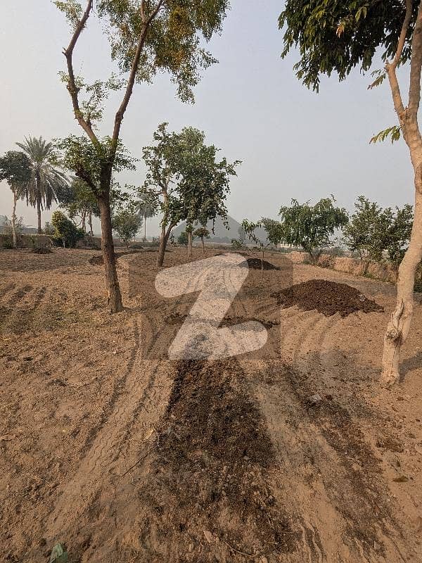 سٹی ہاؤسنگ ملتان میں 6 کنال زرعی زمین 3.66 کروڑ میں برائے فروخت۔ سٹی ہاؤسنگ ملتان میں 6 کنال زرعی زمین 3.66 کروڑ میں برائے فروخت۔