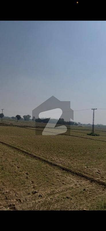 کوٹ رادھا کِشن قصور میں 160 کنال رہائشی پلاٹ 9.0 لاکھ میں برائے فروخت۔