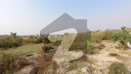 Residential Plot For Sale Zamar Valley