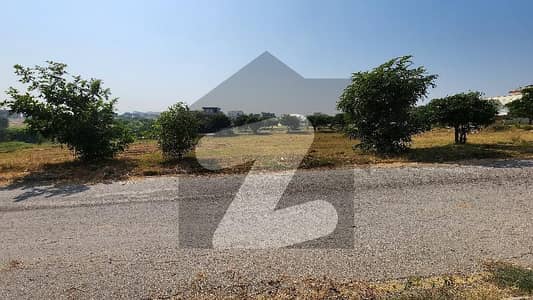 Residential Plot For Sale Residential Plot For Sale