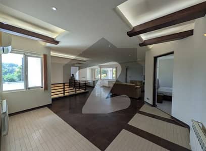 ایف ۔ 8 اسلام آباد میں 4 کمروں کا 1 کنال مکان 12.0 لاکھ میں کرایہ پر دستیاب ہے۔