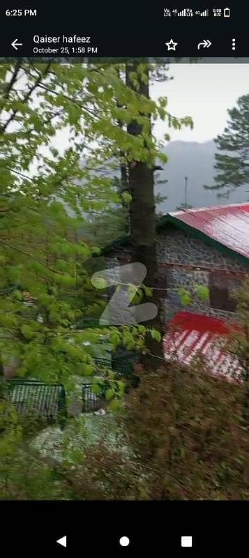 Near Hilton Hotel In Heart Of Nathia Gali Near Hilton Hotel In Heart Of Nathia Gali