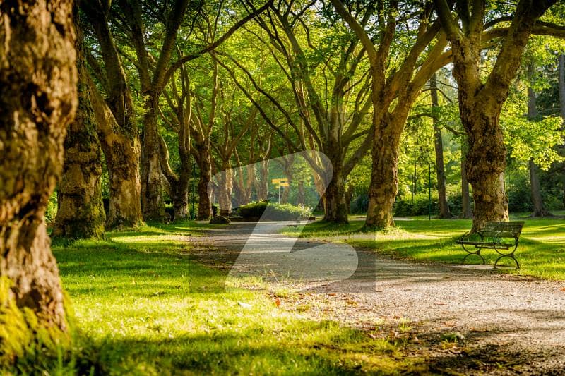 Valencia Town K Block Kanal Confirm Cheapest Plot Valencia Town K Block Kanal Confirm Cheapest Plot