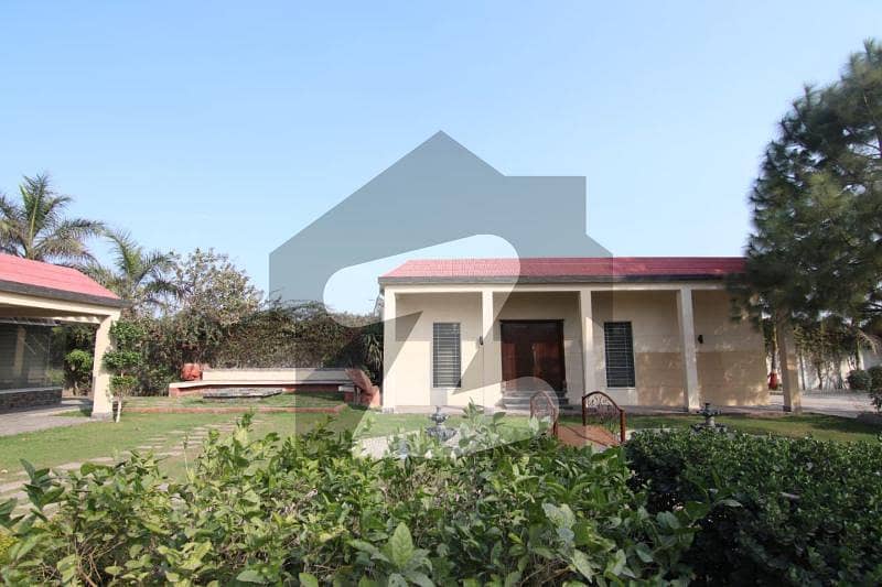 9 Kanal Fully Furnished Farm House 9 Kanal Fully Furnished Farm House