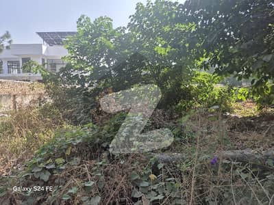 EXCELLENT PLOT ON MAIN TREET