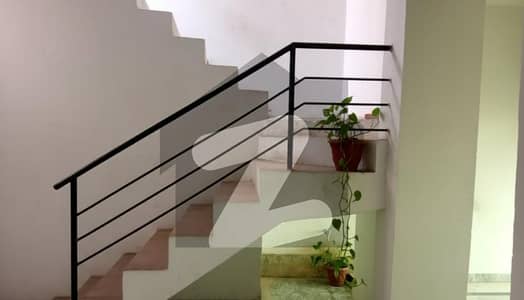 7 Marla Single Storey House For Rent