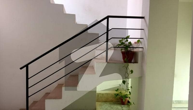 7 Marla Single Storey House For Rent 7 Marla Single Storey House For Rent