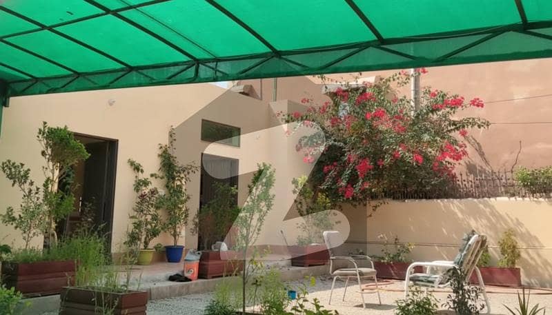 7 Marla Single Storey House for rent 7 Marla Single Storey House for rent