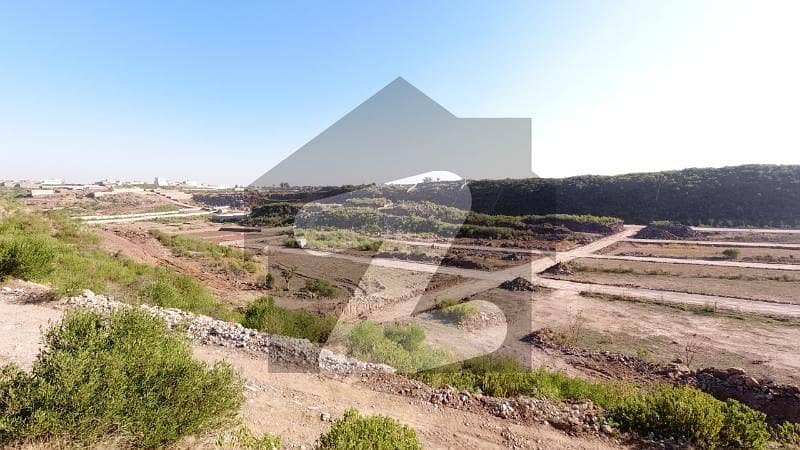 A Residential Plot At Affordable Price Awaits You A Residential Plot At Affordable Price Awaits You