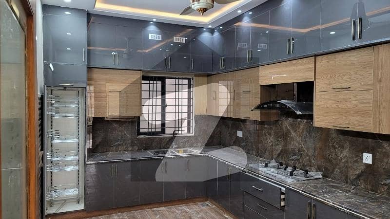 House Is Available For Rent On Ideal Location Of Islamabad House Is Available For Rent On Ideal Location Of Islamabad