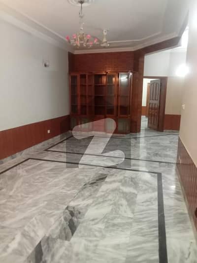 جی ۔ 11 اسلام آباد میں 2 کمروں کا 8 مرلہ زیریں پورشن 95.0 ہزار میں کرایہ پر دستیاب ہے۔