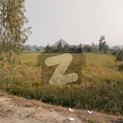 I sell 5 acre agricultural land in tehsil Chunian & Kot Radha Kishen